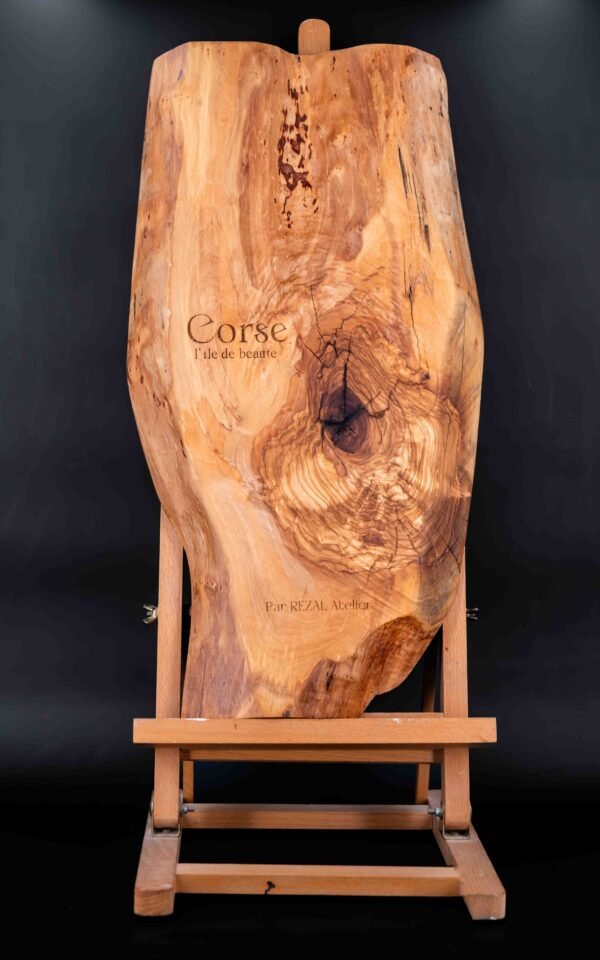 Corse sur olivier massif – Image 3